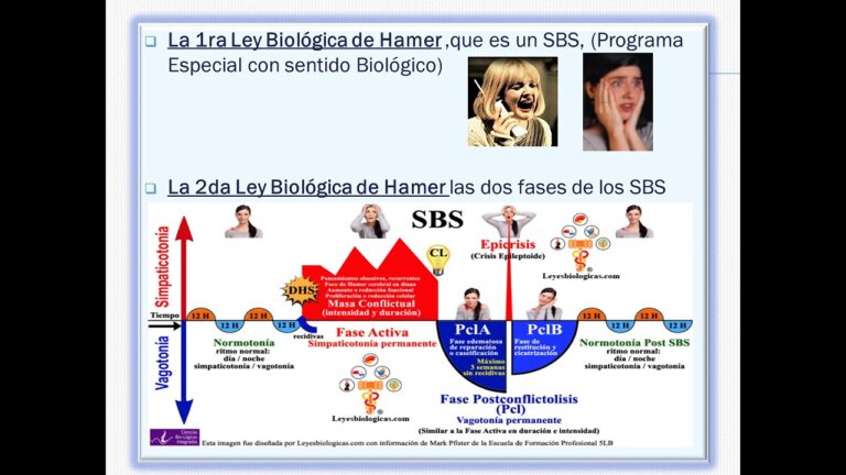 QUE ES LA MEDICINA GERMANICA — Transcript