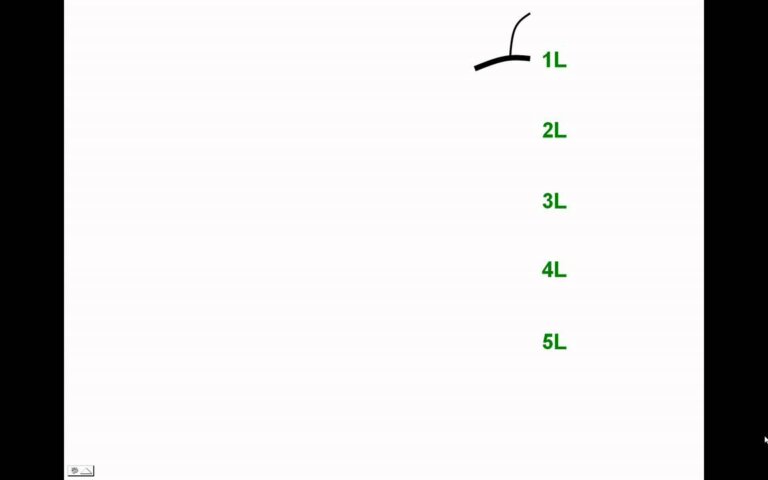 INERVACION DE MIEMBRO INFERIOR 1 — Transcript