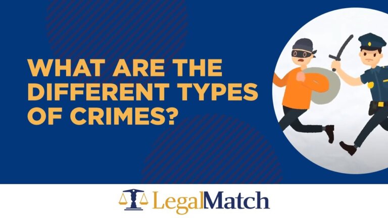 What Are the Different Types of Crimes? — Transcript