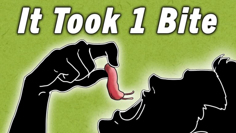 How 1 Bite Gave This Boy Instant Brain Damage — Transcript