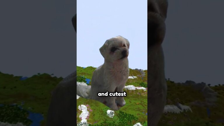 Cute Doggo — Transcript