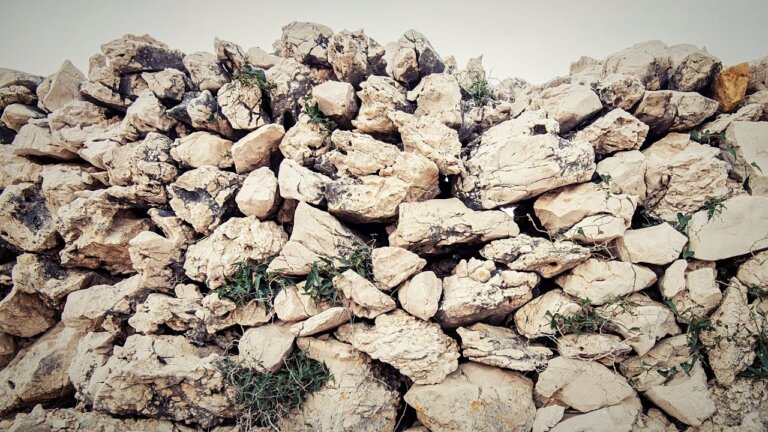 Na rubu znanosti: Rotne gomile – drevna sudišta — Transcript