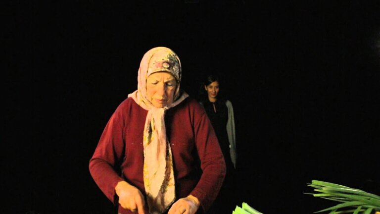 Yilmaz 01: Koken NL — Transcript