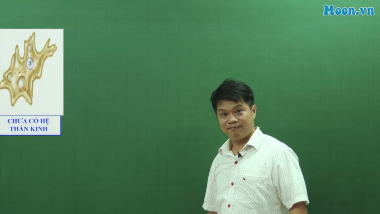 Bài 20 – SH11: Cảm ứng ở động vật (P1) — Transcript