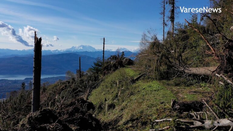 Viaggio sul Campo dei Fiori devastato dal vento — Transcript